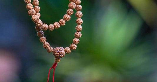 Can You Eat Non Veg While Wearing Rudraksha?