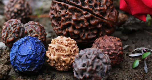 How To Check Original Rudraksha?