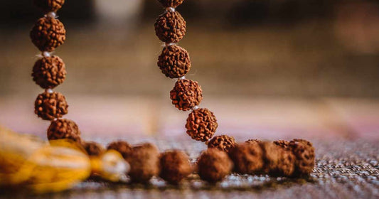 Who Can Wear 5 Mukhi Rudraksha?