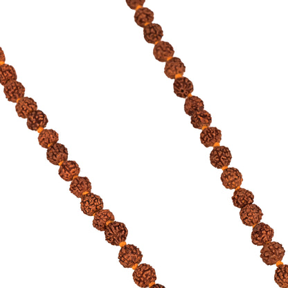 Panchamukhi Rudraksha Mala